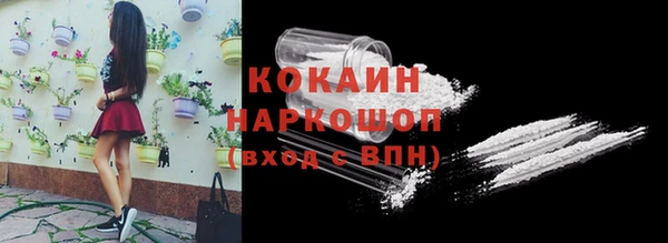 индика Верея