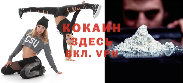 индика Верея