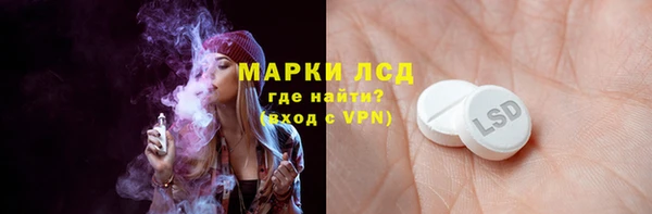 индика Верея