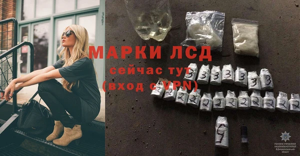 индика Верея