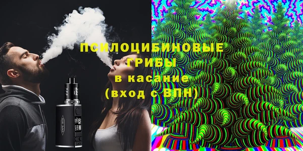 индика Верея
