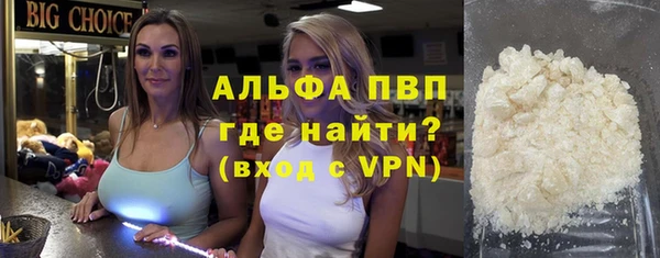 индика Верея