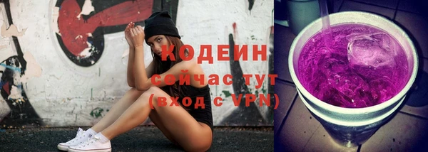 индика Верея