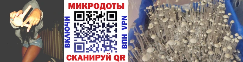 магазин продажи наркотиков  Весьегонск  Псилоцибиновые грибы мухоморы 